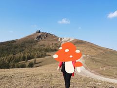 -塞罕坝国家级自然保护区