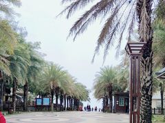 -马銮湾景区