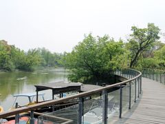 长江口风景-吴淞炮台湾湿地森林公园烧烤区