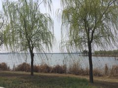 -南湖国家城市湿地公园
