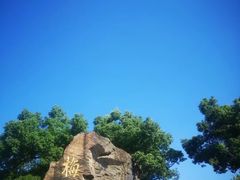 -无锡梅园公园