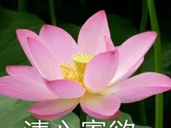 -周幺妹重庆老火锅(银泰城总店)