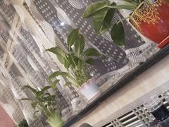 -张记聚福楼(范西店)