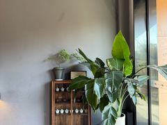 -一叶觅山(半边街店)