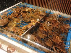 -蟹将军·松叶蟹和牛日料放题自助(K11店)