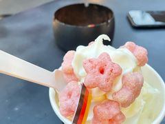 -JW德国冻酸奶Frozen Yogurt(龙湖成都滨江天街店)