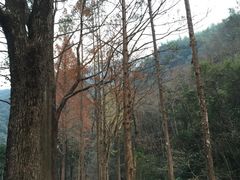 -天明山温泉大酒店