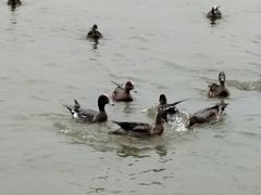 -深圳湾公园(南山区)