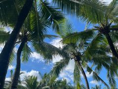 -海南槟榔谷黎苗文化旅游区