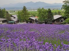 -富田农场