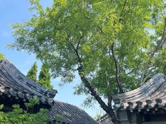 -戚继光故里