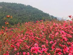 -木兰云雾山