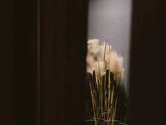 景观位-無境·匠心日本料理(汉街店)