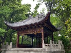 -汇龙潭