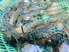 -三旗百汇商品城