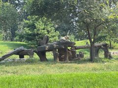 -北京野生动物园