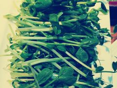 豌豆苗-庄老幺火锅(娄山关路店)