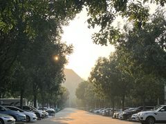 -水濂山森林公园