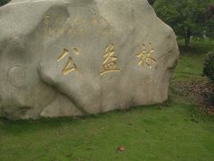 -漕湖湿地公园
