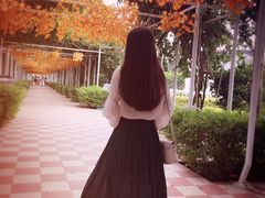 -广州花之恋城堡酒店