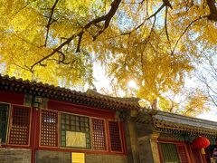 -潭柘寺景区