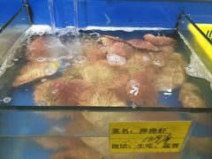 -拉完海鲜大排档(温岭店)