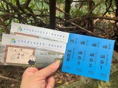 -尚湖风景区