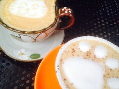 iphone_upload_pic-海边的猫和咖啡馆
