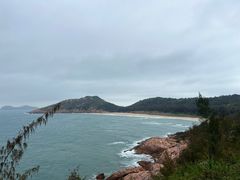 -广东惠东海龟国家级自然保护区