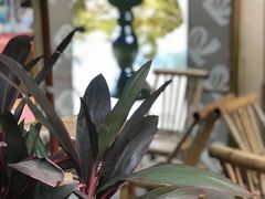-蓉小乔·RONG COFFEE(春熙路店)