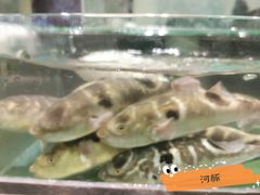 -柳京酒店(滨江中路店)