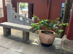 -长沙黑麋峰国家森林公园