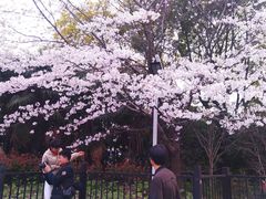 -上海体育场(地铁站)