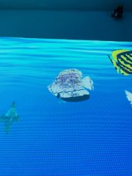 -酷嗒动物文化乐园(cutezoo西溪乐天城店)