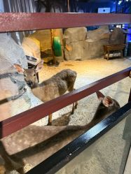 -酷嗒动物文化乐园(cutezoo西溪乐天城店)