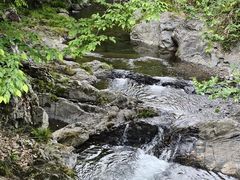 -石台牯牛降景区