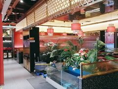 -万达广场(大明宫店)