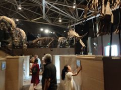 -世界恐龙谷景区