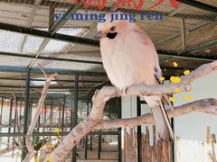 -北京野生动物园