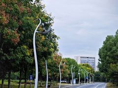 -西山漾湿地公园