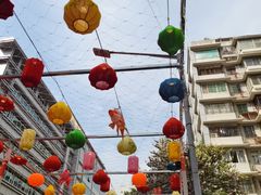-越秀西湖花市(广州城市广场花卉店)