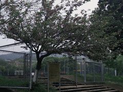 -浙江农林大学(东湖校区)