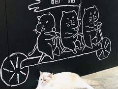-瞄一喵猫咖(格力海岸店)