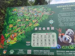 -海南热带野生动植物园