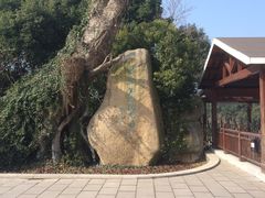 -宝岩生态观光园