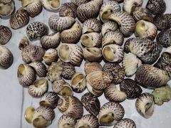 -食鼎记海鲜大排档(美食街店)