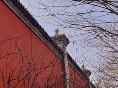 -天津大悲禅院