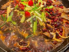 老板恋上鱼-老板恋上鱼(荣盛广场店)