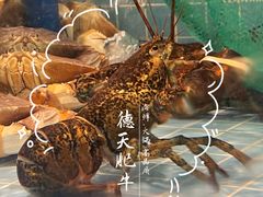 -德天雪花肥牛海鲜火锅(南苑东路店)