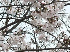 -宜兴龙背山森林公园